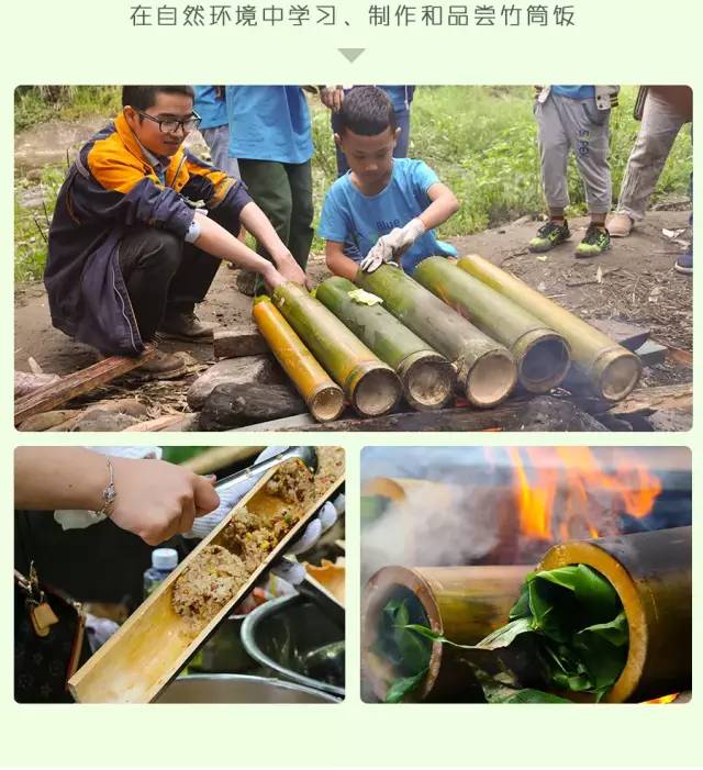 大熊猫铲屎官,都江堰熊猫谷铲屎官报名