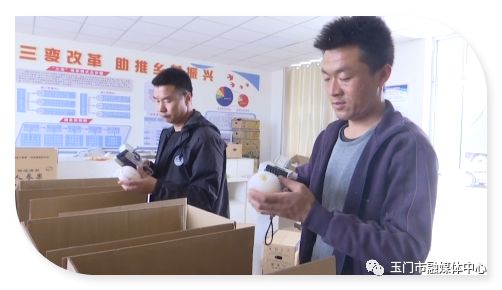 清泉人参果采摘园,清泉人参果特产介绍