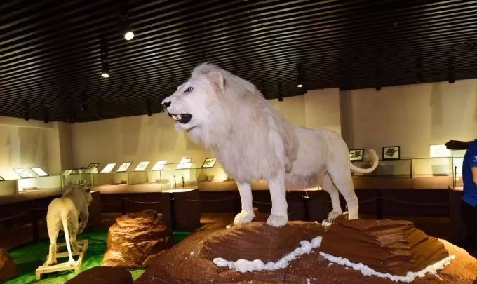 六一儿童节里的大礼包有什么,六一儿童节大礼包通常有什么