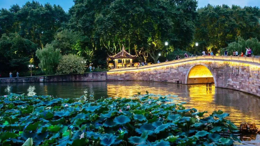 诗游记夏令营，有什么不一样？来听听树先生怎么说