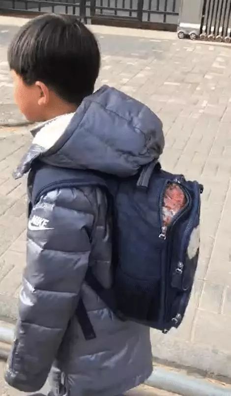 「宝贝们」知道自己有多“火”不？我们帮你盘一盘