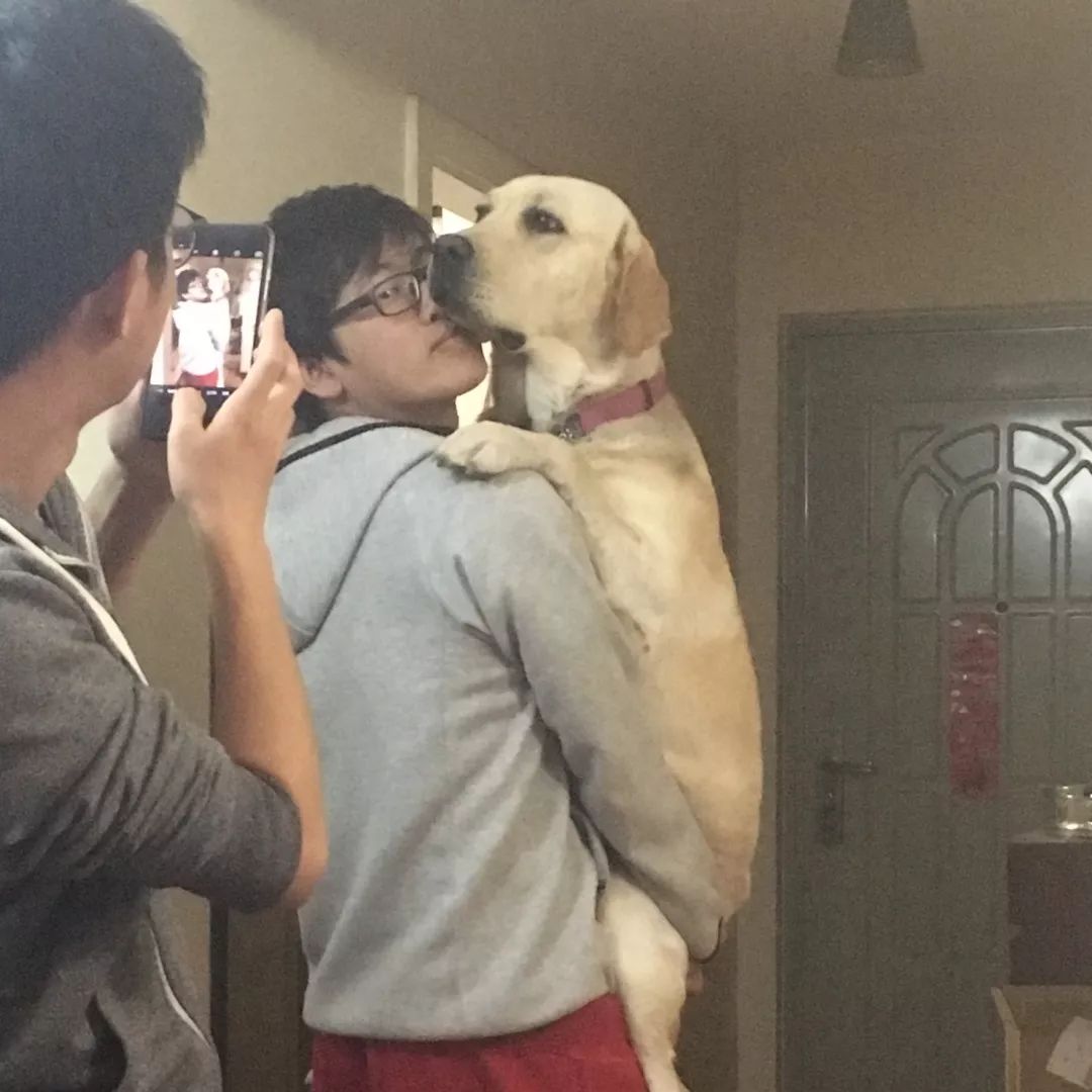 高萌来袭!真小奶猫小奶狗!|毛孩子的童年有多奶?