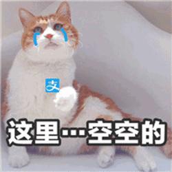 今夏必买的十种包包品牌,今年最火的夏天包包