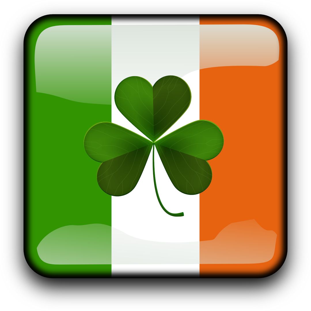 足球球迷的自我修养,球迷的自我介绍