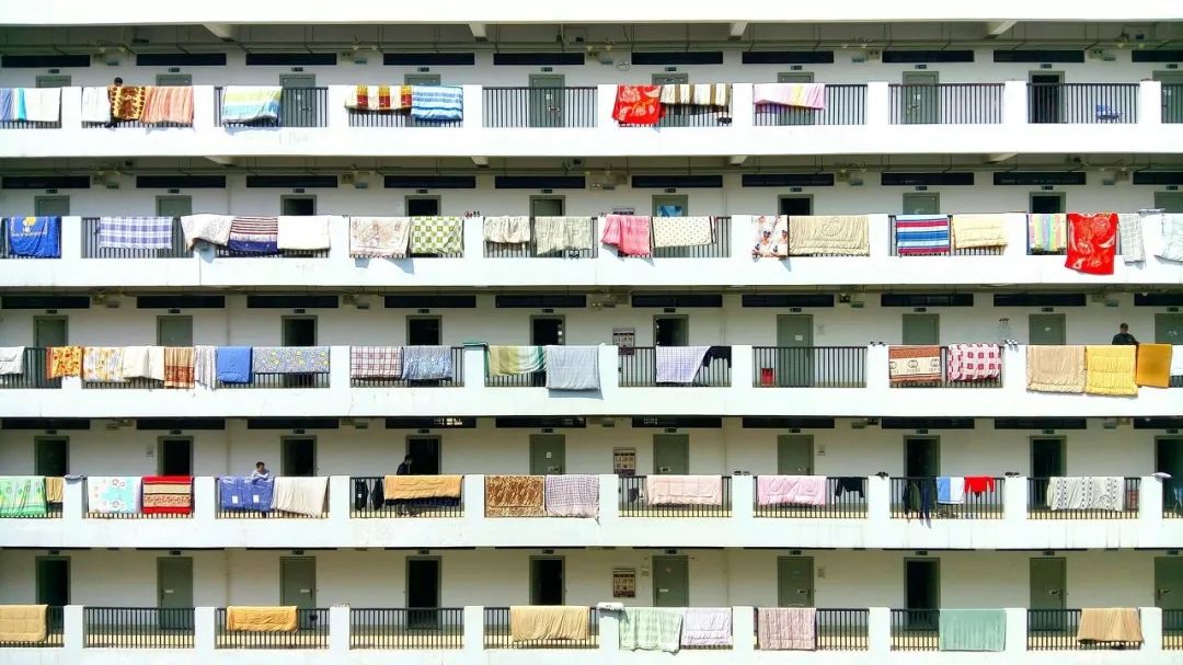 袜子裤装可以一起洗吗,袜子和裤袜能一起洗吗