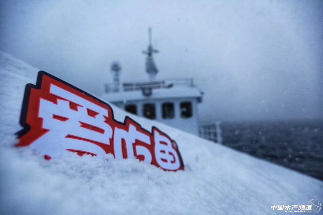 深度｜为什么你觉得海鲜生意越来越难做？