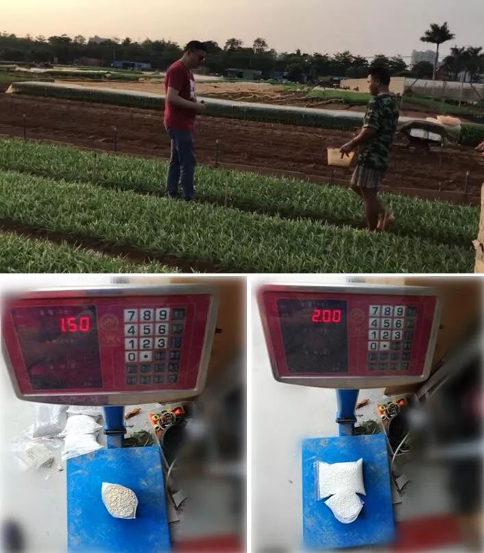 不惧和不怕有什么区别,芭田冠状肥使用方法