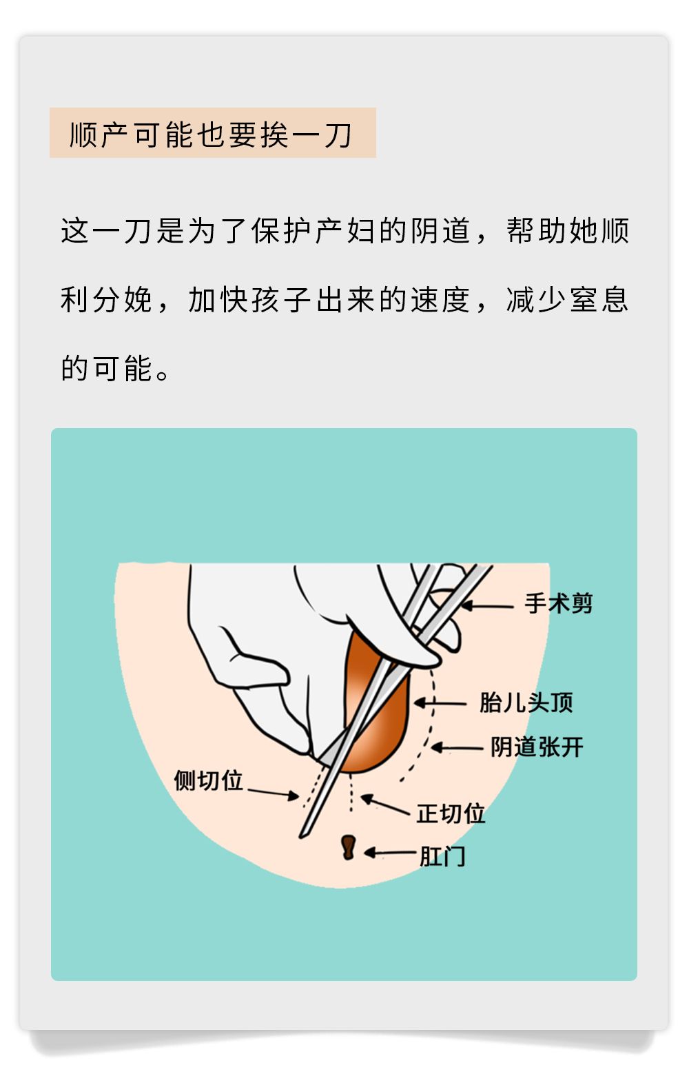 漫画类科普小视频,漫画类的科普知识