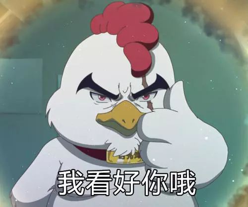 天津四大神兽,遛狗遛猫哪个容易