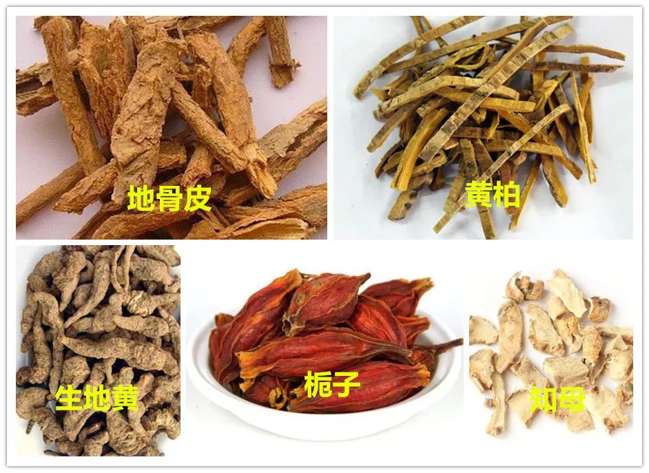 挑战老司机6.5-答案解析来啦！~