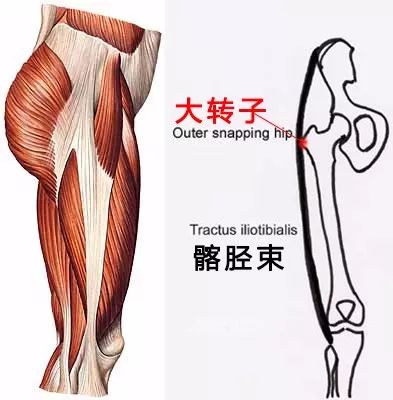 大腿根部嘎嘣响是怎么回事,大腿根内部关节咯嘣响