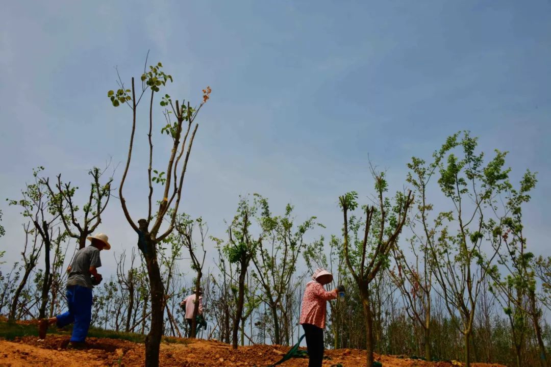 洛阳游乐设施公园,洛阳城市运动公园儿童游乐
