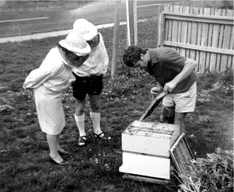 DFS给你讲最甜蜜的故事,试吃折扣还送礼,什么都不缺就缺你