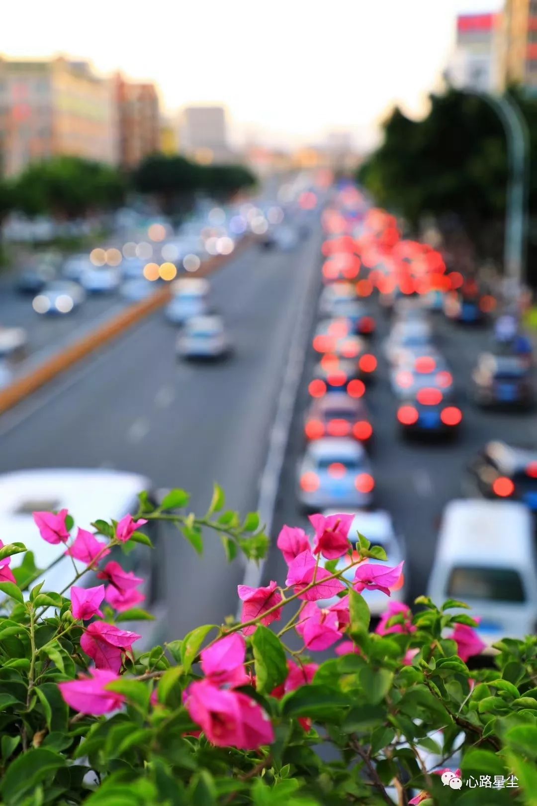 收缩压与舒张压相差大是什么原因,收缩压和舒张压哪个高危害大