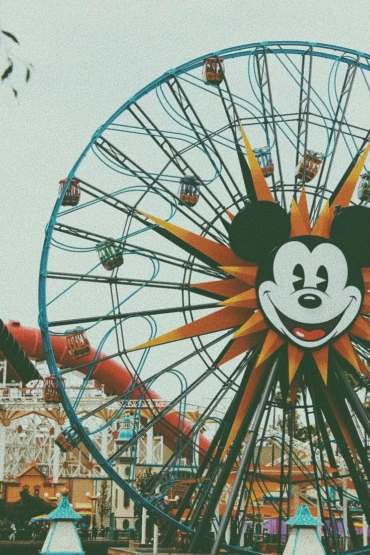 为了迪士尼，我决定搬回东京了