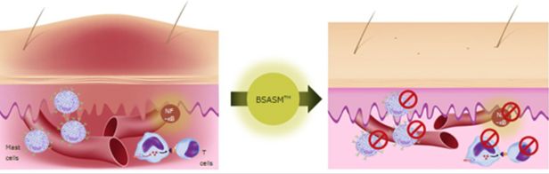 有必要用哪一款水乳,一辈子就能用一套水乳
