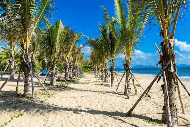三亚攻略五天四晚,三亚详细旅游五天四晚攻略