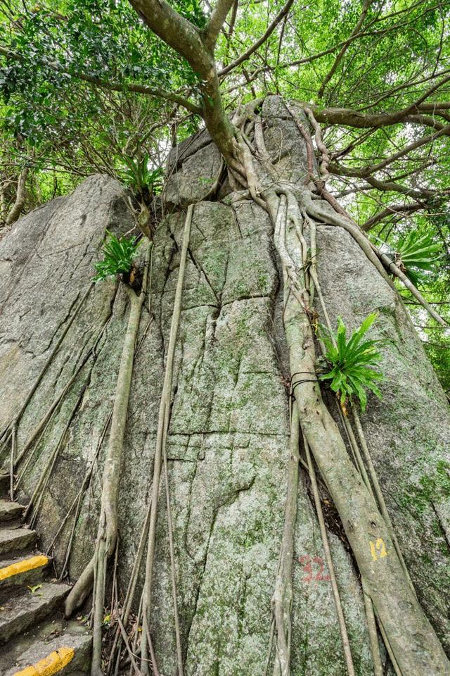 三亚攻略五天四晚,三亚详细旅游五天四晚攻略