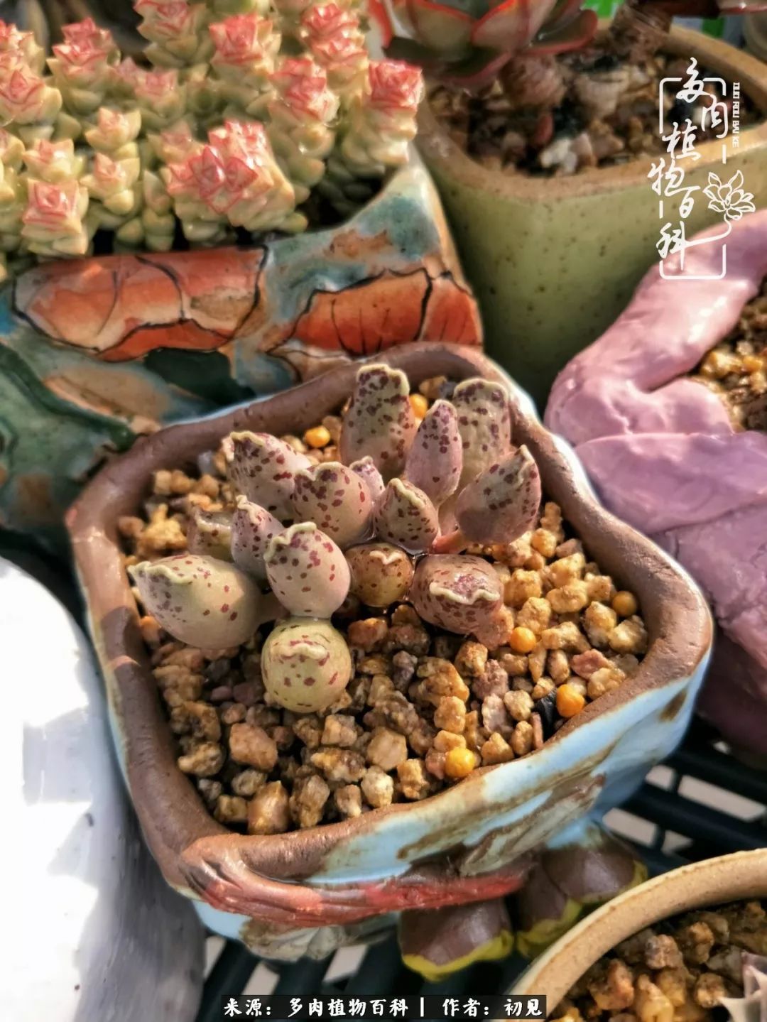 紧张的高三生活也需要适度的放松,紧张焦虑高考