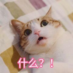 厦门适合带孩子去玩的地方推荐,厦门6月份哪里好玩