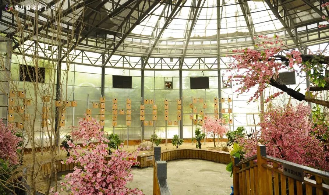 厦门适合带孩子去玩的地方推荐,厦门6月份哪里好玩