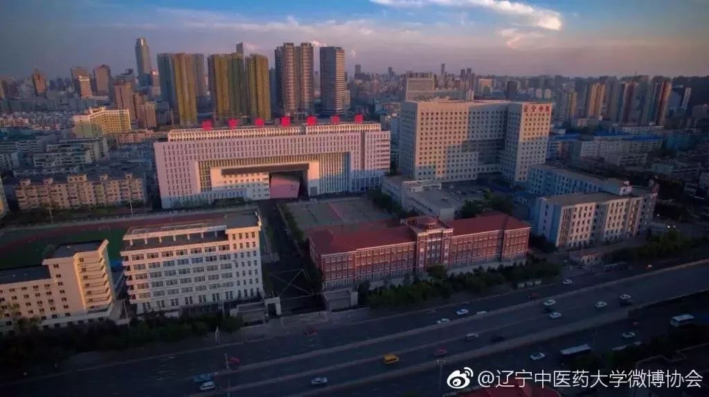 高考沈阳高校,高考沈阳志愿