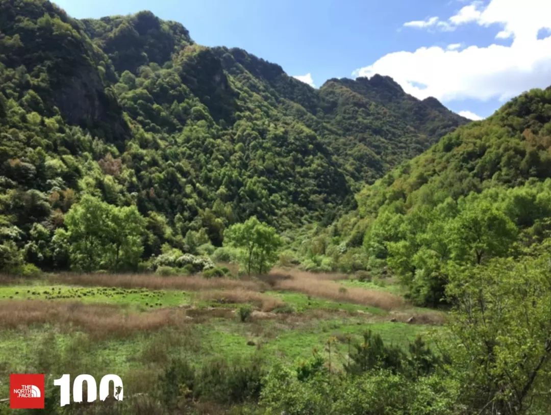 tnf100官网成绩查询,tnf100秦岭国际越野跑