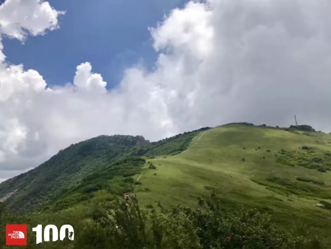 tnf100官网成绩查询,tnf100秦岭国际越野跑