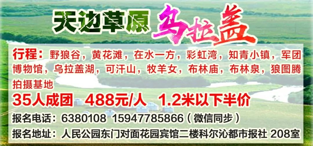 内蒙古公布5起典型毒品案件,内蒙古自治区通报8起违规案例