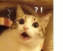 日本网红眼药水辟谣,4款网红眼药水真的安全好用吗