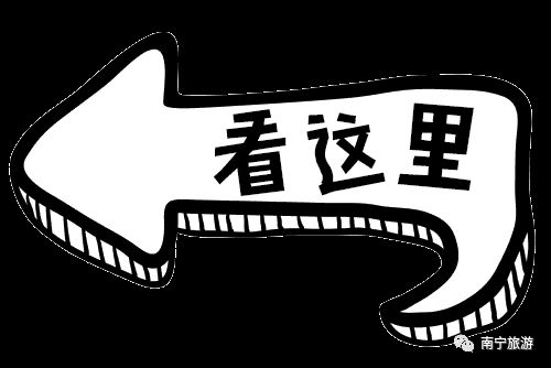 推荐|竹风清爽、碧莲夭夭，一起来南宁狮山公园观赏竹林荷花吧