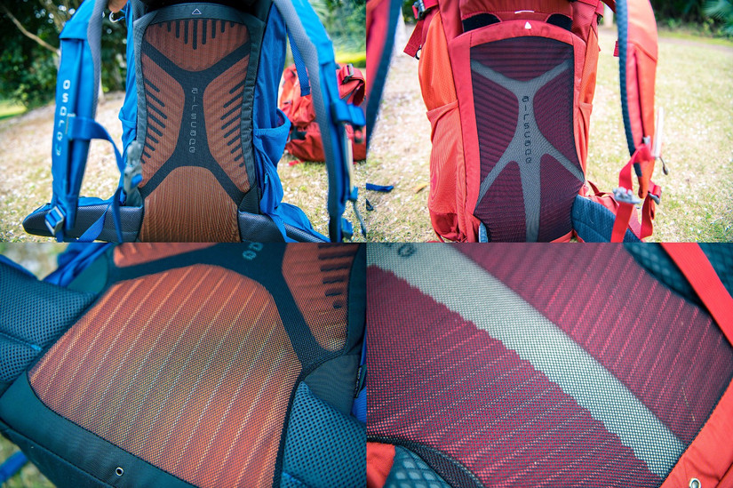 小鹰登山包老款新款区别,小鹰登山包65升效果