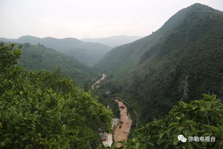 弥勒美食必吃推荐,云南弥勒美食野生菌