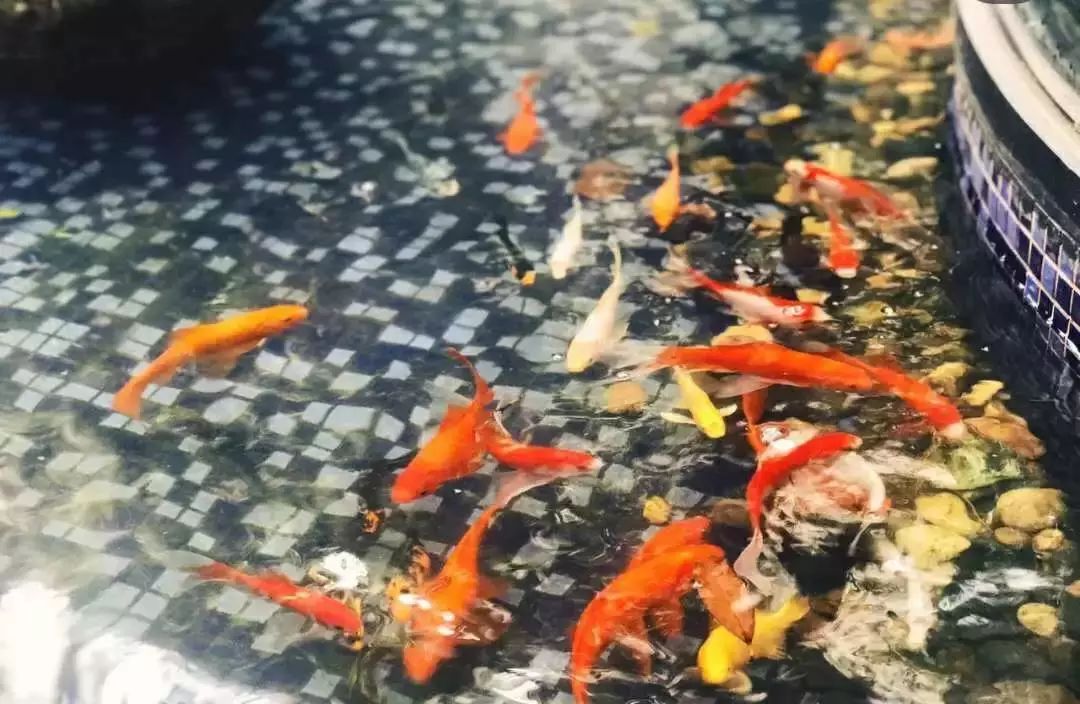 必去的茶馆推荐,上海古色古香茶馆推荐