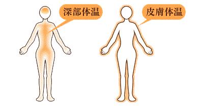 日本按摩床黑科技,日本折叠床黑科技