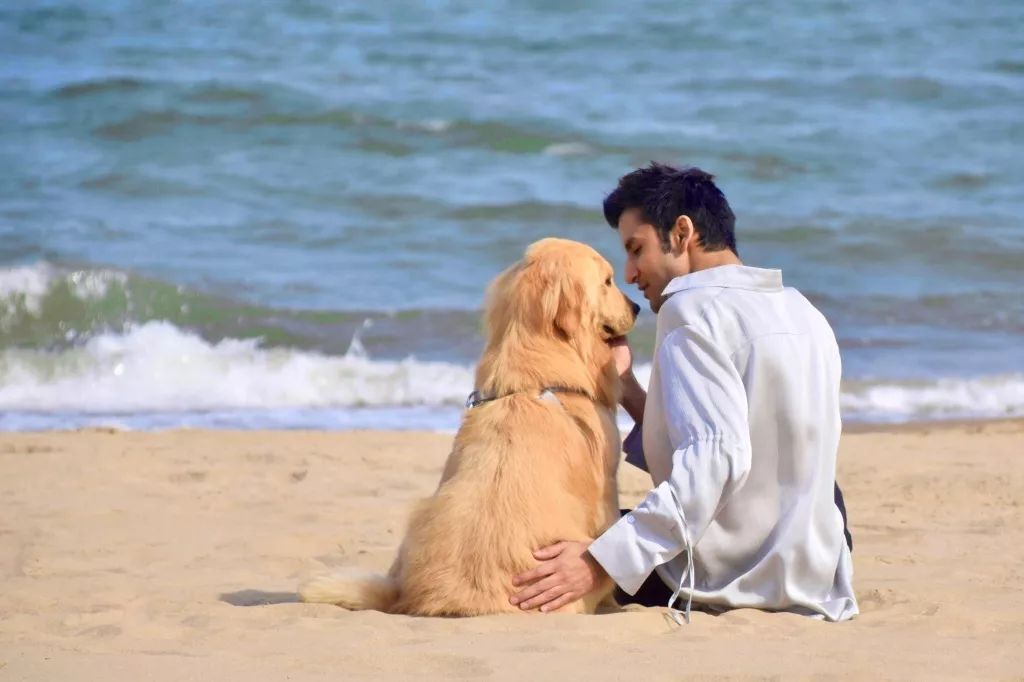 男模摆拍动作大全夏装,男模摆拍动作大全