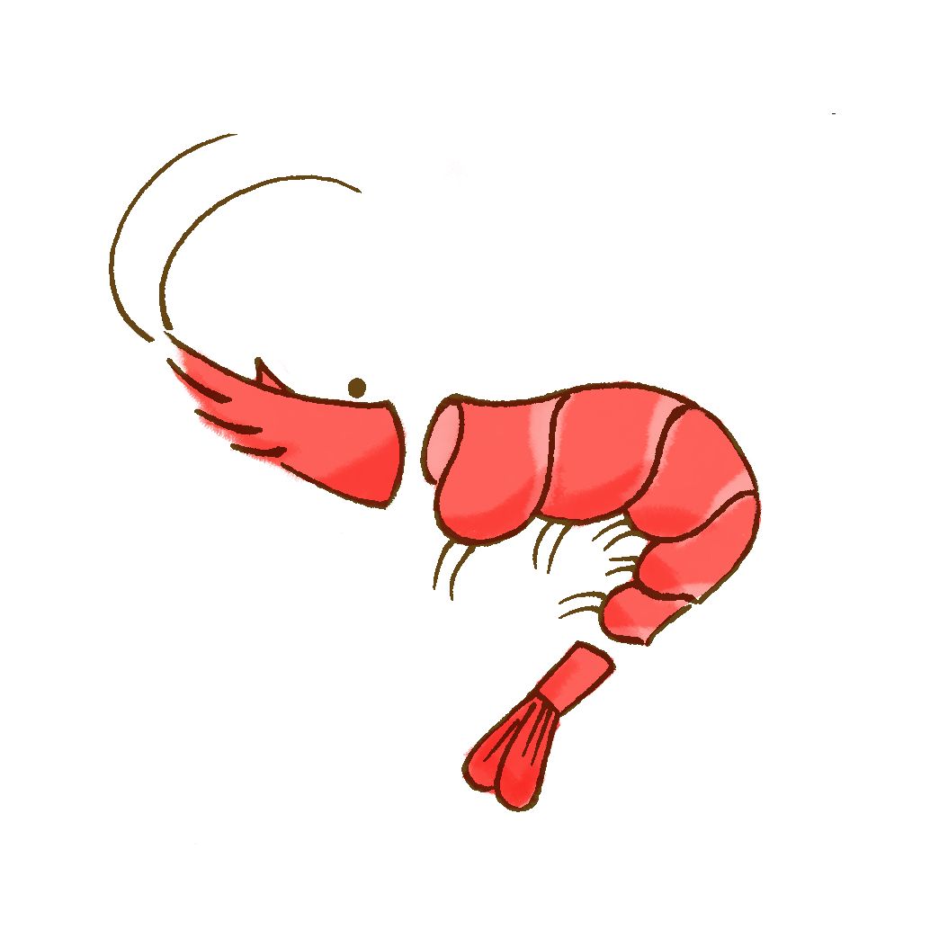 垃圾分类手册的教程,垃圾分类讲解的提纲