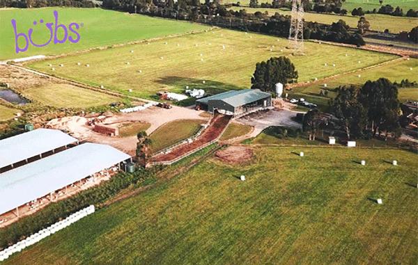 风很大美赞臣,风很大的国产奶粉