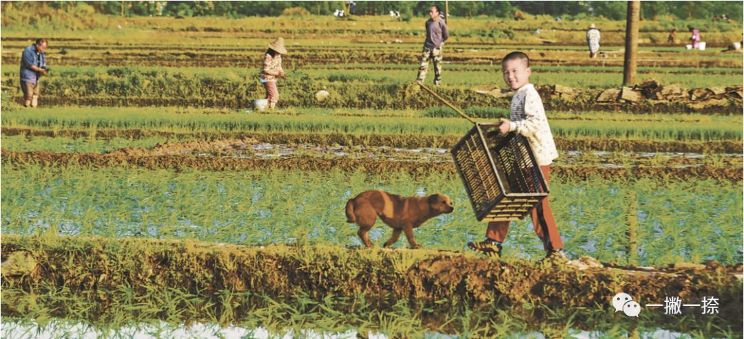 人民日报年度最佳照片,人民日报推荐的好照片