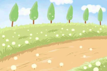 分析狮子座女生的10个特点,分析狮子座女生文字版