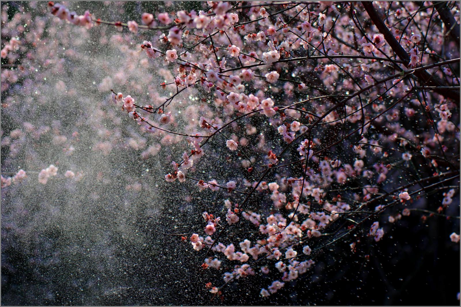 梅开二度能触发梅开二度吗,梅开二度的意思是什么