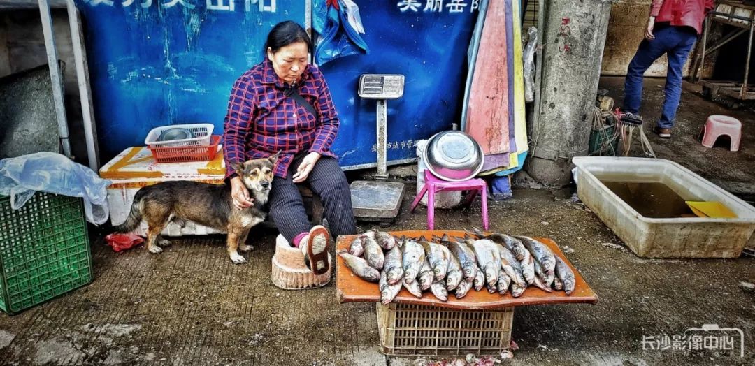 琛屾憚璇氭嫑鍏ㄥ浗鍚堜綔浼欎即,琛屾憚婀栧崡