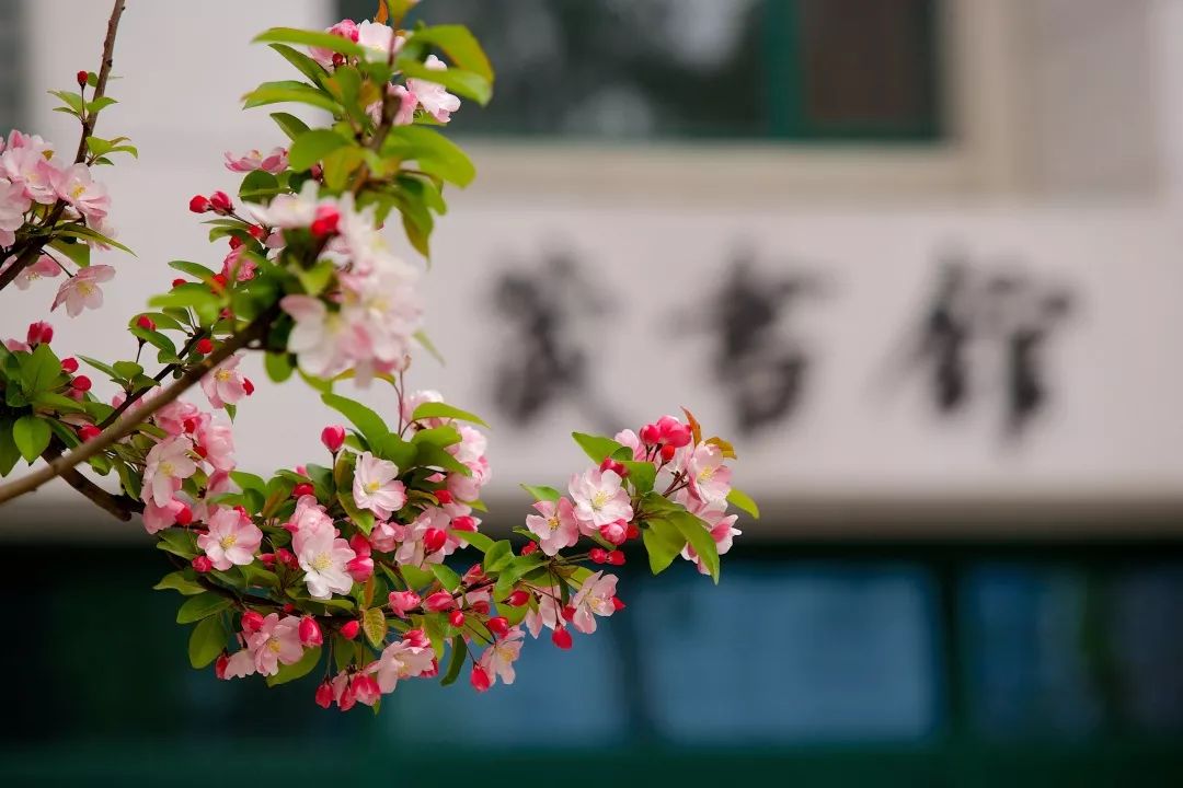 中国人民大学2020年博士研究生招生简章