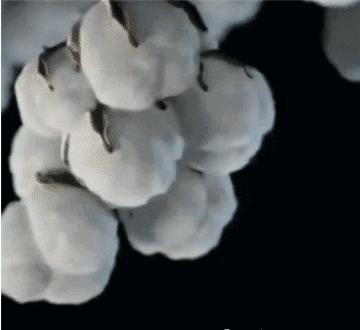 怎样去除女裤内裆异味,女性裤子裆部有异味怎么办