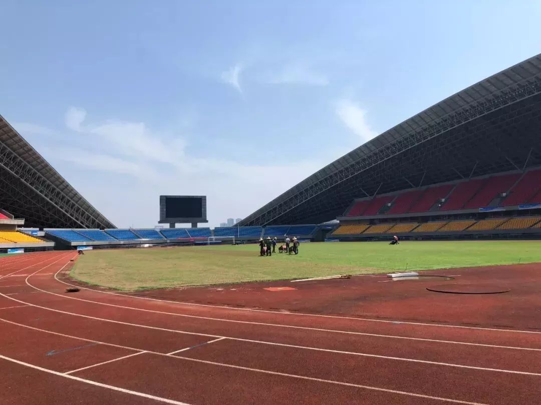 天津体育场草坪养护管理,合肥体育场草坪养护服务