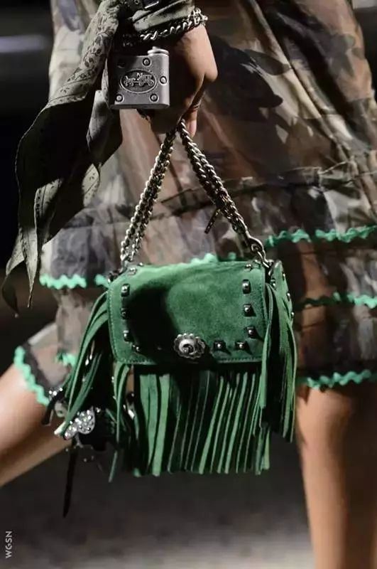 coach恐龙变身,fashion艺术家