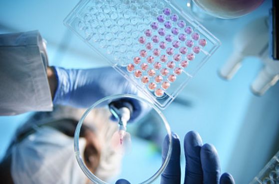 女子肚子疼去医院检查吓到医生,女孩肚子疼医生检查吓一跳电视剧