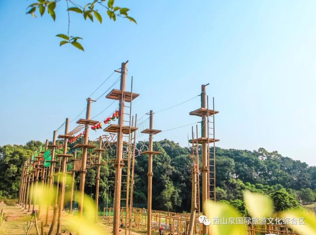 贵港周边网红打卡地一日游,贵港旅游团网红打卡景点