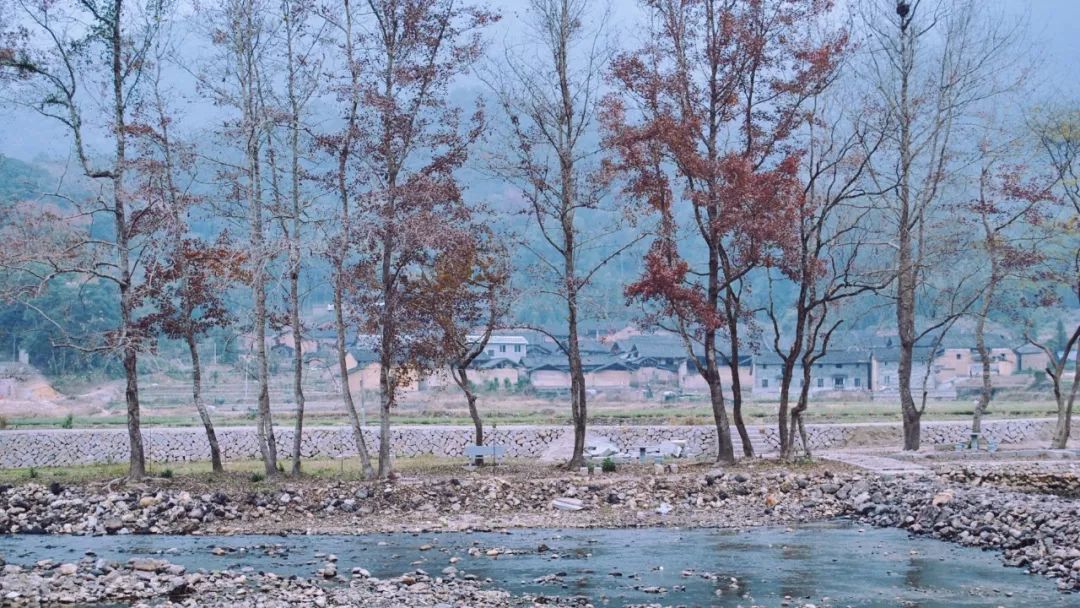 在宁德洋头，过了一段忘不掉的小生活！