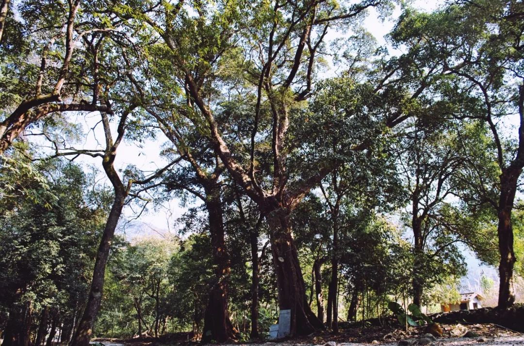 在宁德洋头，过了一段忘不掉的小生活！